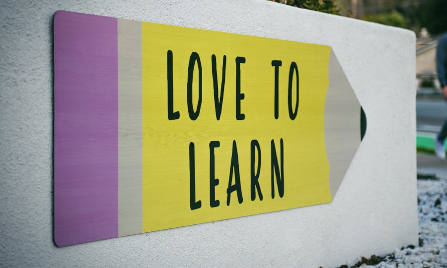 startup company learning culture
