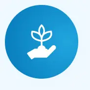 Growth Icon
